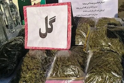 کشف ۳۰ کیلوگرم مواد روان&zwnj;گردان گل در عملیات مشترک پلیس تهران و لرستان