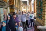 انتخابات ریاست جمهوری در شیراز