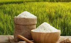 هدف‌گذاری برای خودکفایی در تولید برنج در کشور