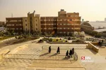علامه