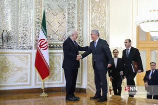 دیدار ظریف با وزیر امور خارجه تاجیکستان