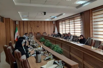 راه&zwnj;اندازی سازوکار بررسی وضعیت حقوق بشر در غزه و لبنان