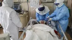 دولت شیوع ویروس کرونا را جدی نگرفت