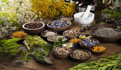 ظرفیت&zwnj;های نانو برای ارتقای محصولات طب سنتی بررسی شد