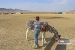 عشایر