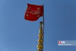 شیرخوارگان