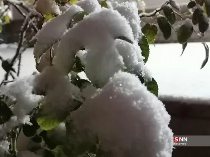 نخستین برف زمستانی بیرجند، شور و نشاط را به کوچه&zwnj;ها و امید به مزارع آورد+ فیلم