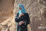 دبب