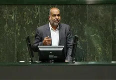 با یارانه ۴۵ هزار تومانی نهایتاً می‌توان ۲۰ عدد گوجه خرید