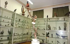 موزه جانورشناسی و کاخ سلیمانیه پردیس کشاورزی کرج برای بازدید عموم فعال است