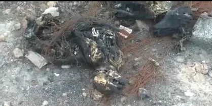 کشته شدن و سوزاندن ۳۰۰ سگ در اهواز کذب است