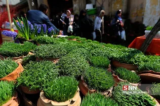 عیدماهی قرمز و سبزه شب عید