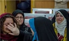 «در جستجوی فریده» متقاضی حضور در «سینما حقیقت» شد