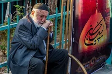 نوزدهمین تقدیر از پیرغلامان حسینی (ع)