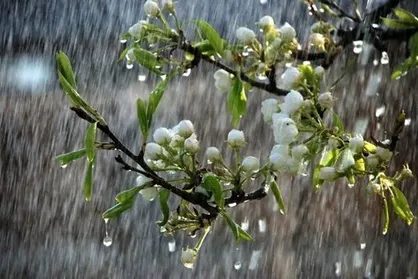 پیش بینی رگبار باران و رعدوبرق در خراسان رضوی