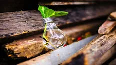 نوآوری اجتماعی در سیاست‌گذاری / پلی برای مشارکت مردم ساخته شد