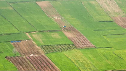 رونمایی از اساسنامه صندوق حمایت از توسعه زراعت برای حمایت از دیم&zwnj;زار&zwnj;ها