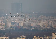 تداوم آلودگی هوا در مشهد مدارس را تعطیل کرد/ دانشگاه‌ها تعطیل نشدند