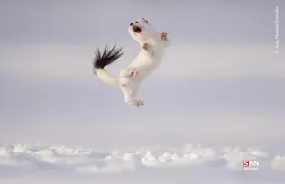 656546