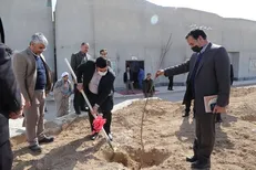 کاشت ۳۰۰ نهال مثمر به نیت ۳۰۰ شهید مدافع سلامت در دانشگاه علوم پزشکی خراسان شمالی