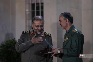 دبب