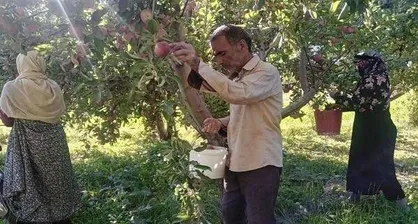 زوج بسیجی نهاوندی در روستا الگویی برای نسل جوان