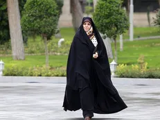 محمدی: مطرح کردن مسائلی مثل همجنسگرایی در دایره نظام برای فرد جرم تلقی می‌شود