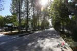 افتتاح پیاده راه استاد شهریار