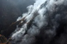 رئیس کل دادگستری مازندران: مسئولانی که در مهار آتش‌سوزی جنگل‌های هیرکانی الیت قصور کنند، طبق قانون مجازات می‌شوند