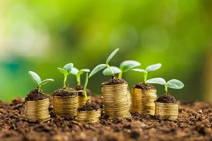 جذب سرمایه با میدان دادن به بخش خصوصی رخ می&zwnj;دهد