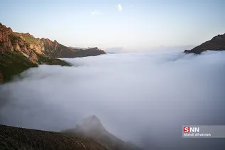 ةي