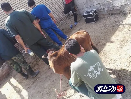 فعالیت جهادگران بسیج دانشجویی دانشگاه آزاد شوشتر در مناطق سیل زده شعیبیه