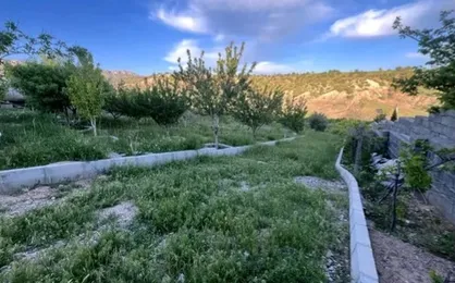 توسعه باغات، راه نجات اقتصاد ملکشاهی است/ جهاد کشاورزی ایلام نهال و تأمین آب را رایگان پشتیبانی می&zwnj;کند