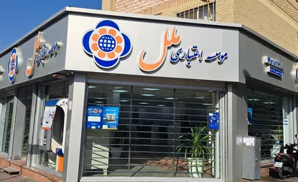 روزی ۶۷ میلیارد تومان ضرر!/ موسسه ملل؛ تنها موسسه ناتراز باقی&zwnj;مانده