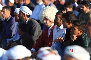 جرگلان