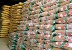 دستور قضایی برای ترخیص ۵ هزار دستگاه خودرو خارجی و ۲ هزار تن برنج وارداتی صادر شد