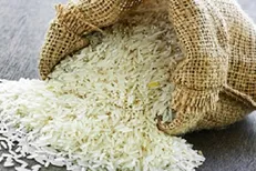 واردات برنج کاهش یافت