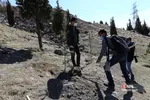 بازسازی و مرمت دو اثر تاریخی در محله کن