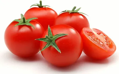 ازسرگیری واردات گوجه فرنگی ترکیه به روسیه