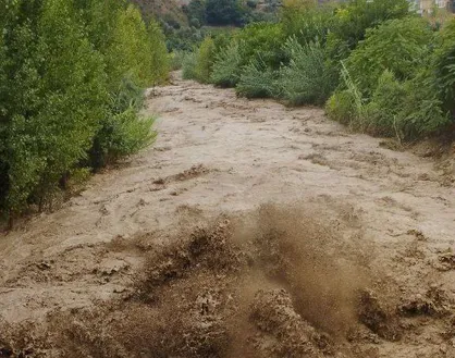 بارش&zwnj;های رگباری در شرق گلستان موجب آبگرفتی و سیلاب شد+ فیلم
