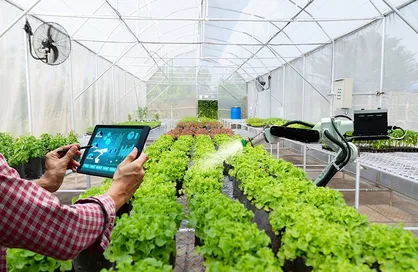 افزایش تاب&zwnj;آوری با رفع گلوگاه&zwnj;های راهبردی زنجیره غذا