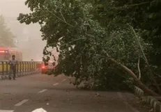 باد و خاک در غرب و جنوب تهران