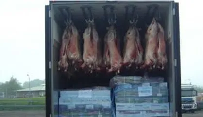 توزیع کامیونی گوشت قرمز در سطح تهران