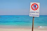 صثفصل