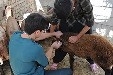 جهادگران «کمیته سلامت در بلایا و حوادث دانشگاه آزاد» به مردم لرستان خدمات درمانی ارائه کردند