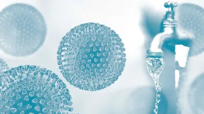 طراحی غشاء فیلتراسیون برای از بین بردن ویروس&zwnj;ها