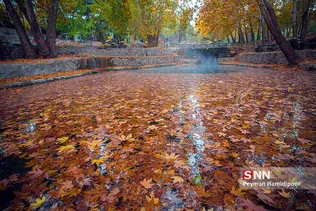 fall