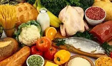 تلاش ۱۱ شرکت دانش‌بنیان برای تامین تجهیزات حوزه امنیت غذایی