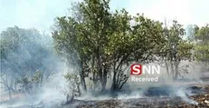 مهار کامل آتش‌سوزی در منطقه سرابید مختار یاسوج / عامل انسانی در بروز حادثه نقش داشت
