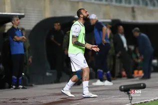 دبب